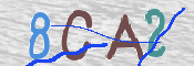CAPTCHA-Bild